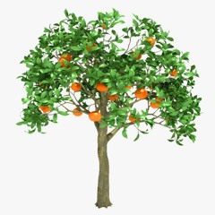 Naranja árbol 3d Modelo Gratis Descargar
