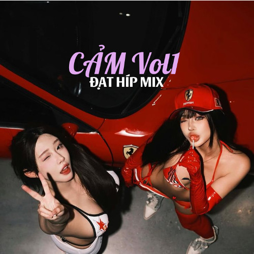 MIXSET VIỆT HOUSE LAK "Cảm" VOL1 | ĐẠT HÍP MIX