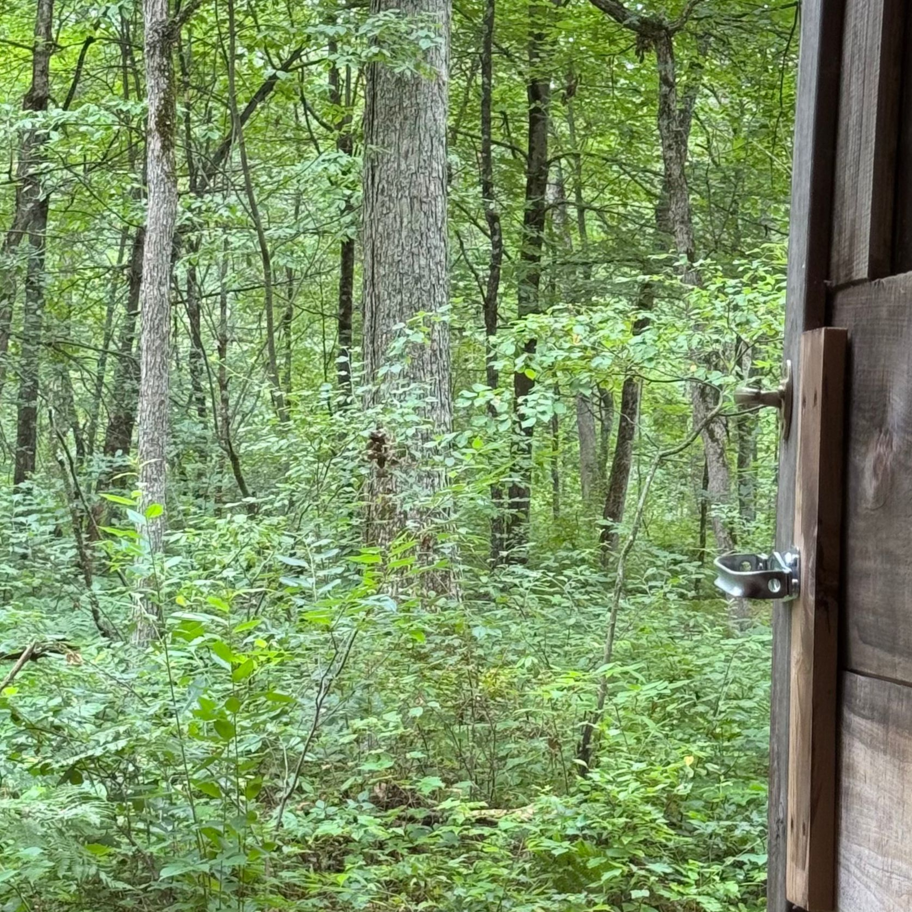 The Defecation Conversation - Ep#76 - Cabin TALK!! episode artwork