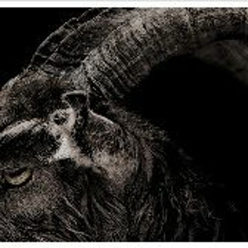 The witch 2015 online deals