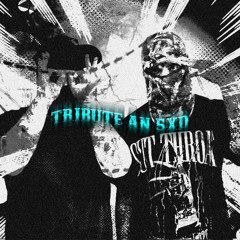 Tribute an 5XD