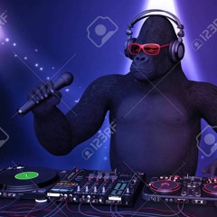 DJ Funky Monkey's Party Mix