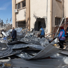 CLIP - Olga Cherevko, OCHA, on the situation in Gaza