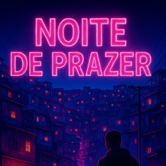 NOITE DE PRAZER - MC MARCELO DA CJ Feat. DJ PL DE NITERÓI