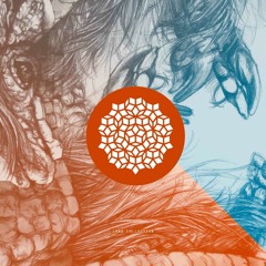 PREMIERE: David Ponziano Feat Aqeel - 4c1d R4v3 (Neville Watson Remix)