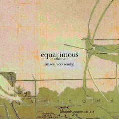 Equanimous - Arizona (Maestracci Remix)