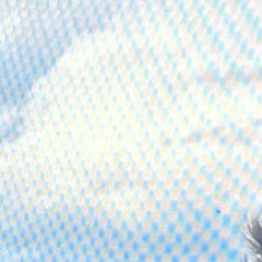 †hrðµgh †hê §¢år [2hi2fool]