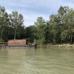 Soundpostkarte on Vinylograph For Krandaubel Opening Donauwalzerinterpretationen "Zum Tanzen"