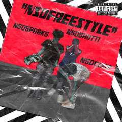 NSD FREESTYLE FT. NSD SPARKS x NSD SHOTTI