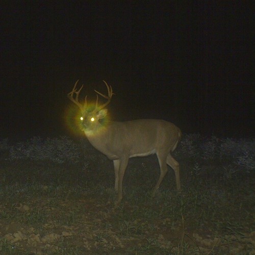 20230923.0.v0