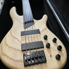 Ripple of a Tear (Custom Cort Artisan tone test, Exivious Cover)