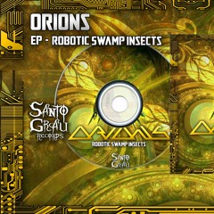01 Orions - Night Mad Bugs 155Bpm (Original Mix)