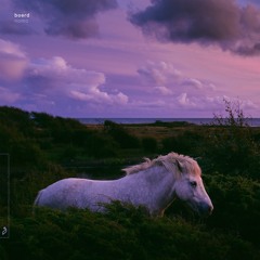 boerd - Flower