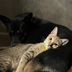 gio nay con nghi den anh ta lam gi