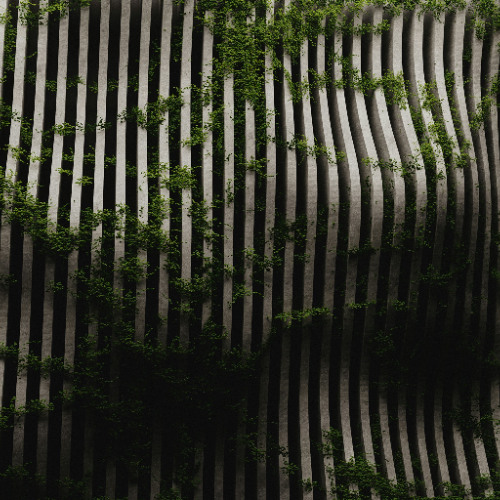 My Song 4 You (feat. Peyton) · Carlos Gallardo (Dr Pius Progressive Edit) WAV