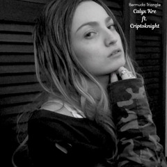 Bermuda Triangle ft. Criptoknight