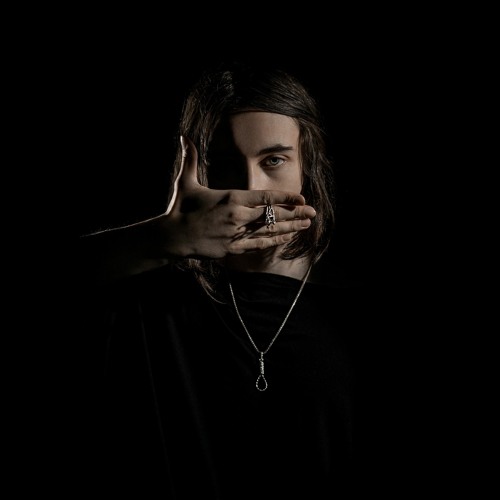 Heronwater - Со сцены (Remix By Shiny Ruby)