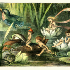 Nymphs