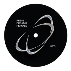 Listen to 5ZYL - Then I Start (Calagad 13 Remix) by PZ