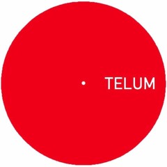 TELUM 007 - Unknown Artist - Untitled B1