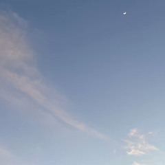 Blinding Lights : The Weeknd ( Cover )