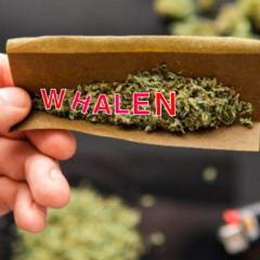 Rolling up