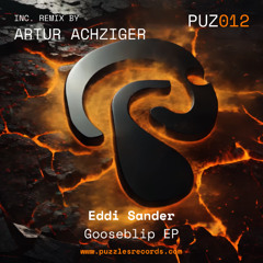 [PREVIEW] Eddi Sander - Gooseblip (Original Mix)