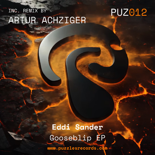[PREVIEW] Eddi Sander - Gooseblip (Artur Achziger Remix)