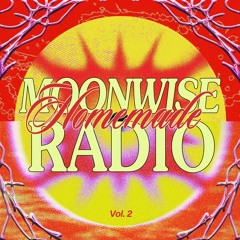 MOONWISE-Radio session 2(Sunset Set)