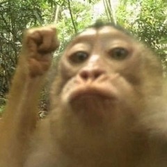 nhạc thầy bỉn | tay trái ôm eo tay phải đưa lên 2 trái chôm chôm=))