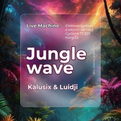 JUNGLE WAVE - Kalusix & Luïdji