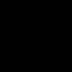 3:00am