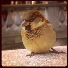 Elemental #1 - One Early Afternoon (2015)