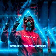 Scorpion - Turn Down For What Get Low (Special 150.000 Plays)