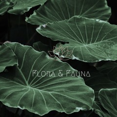flora & fauna