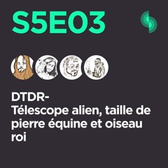 DTDR S5E03 (Téléscope alien, taille de pierre équine et oiseau roi)