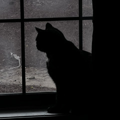 youve grown tired of everything