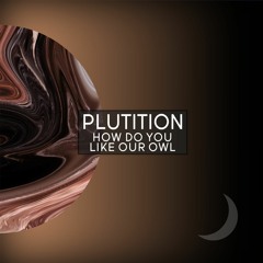 Plutition - How Do You Like Our Owl (INRT001)