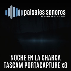 Noche en la Charca [Tascam X8, Audio-Technica BP4025]