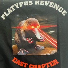 Platypus East~Peace In Mississippi 9-28-2024