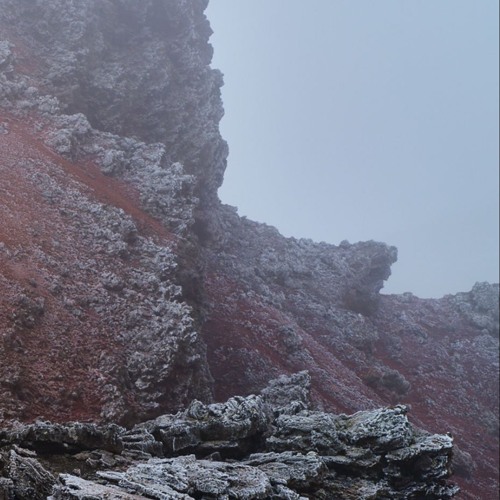 'escapism' (w/ berl1in)