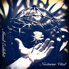 Mood Exhibit - Nocturne Vital