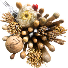 5. L.O.L. - Aleksandra Kremenetski