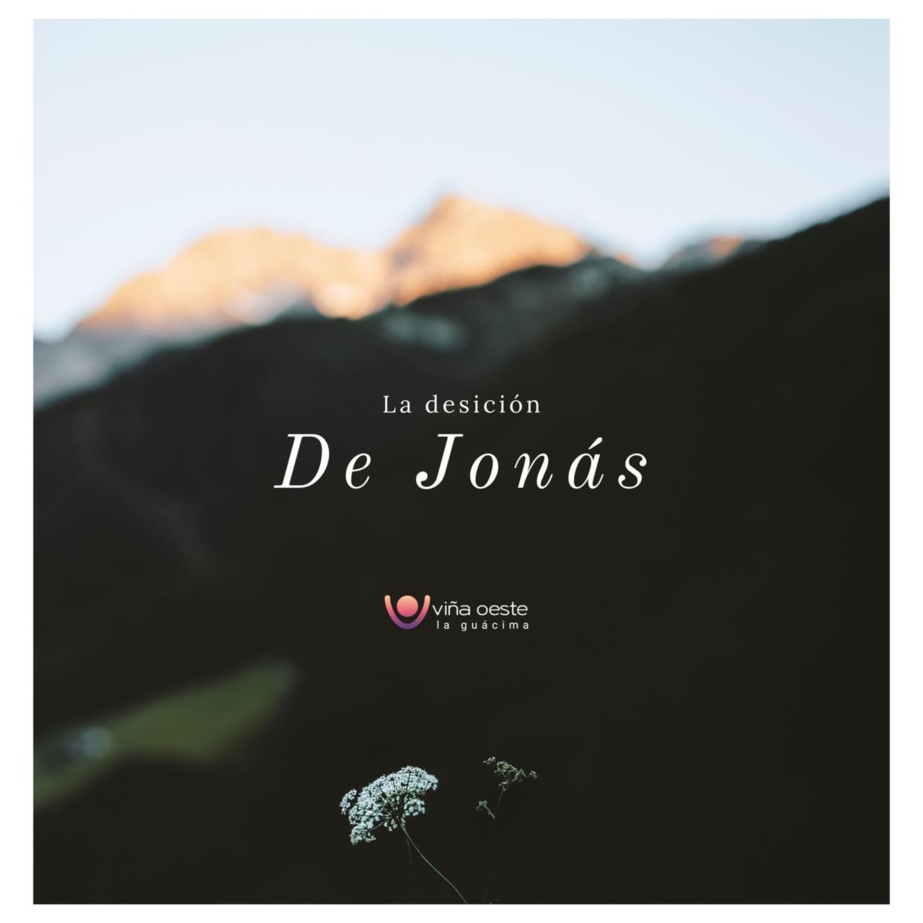 17-04-2021 - Charla: La decisión de Jonás - Erika Vega episode artwork