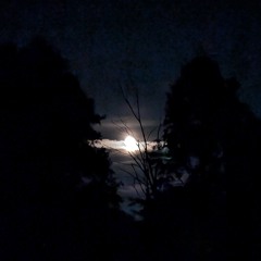 it’s always dark out