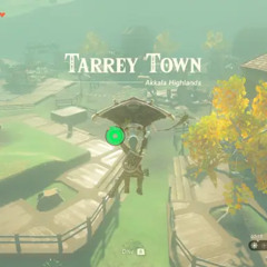 Tarrey Town