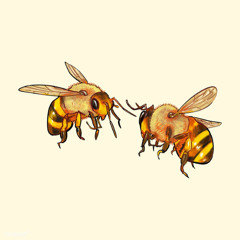 the bees were in my head again, it happens aright?