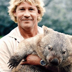 RIP STEVE IRWIN