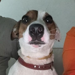 похапать (SS,2)