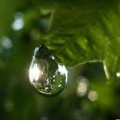 colloqial raindrop